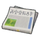 报纸