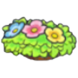 壁挂花卉