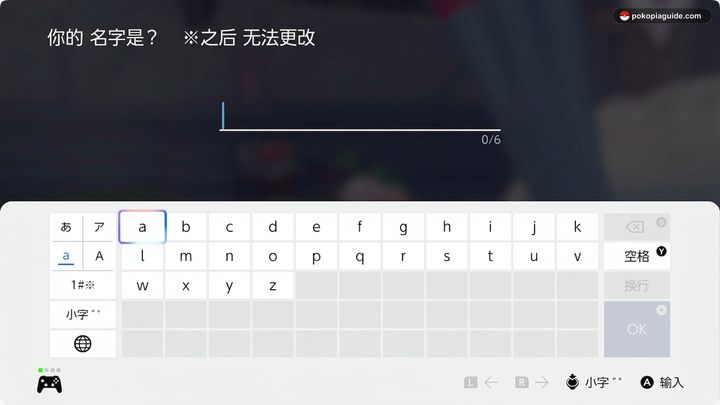决定玩家姓名