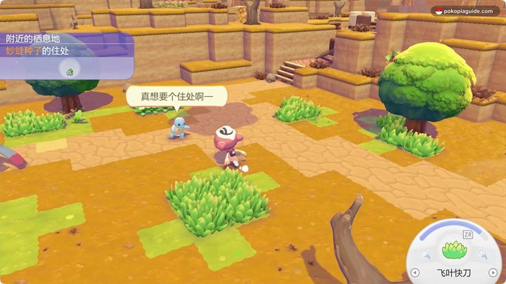 与杰尼龟对话并接受委托