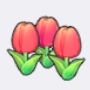 可爱的花