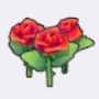 美丽的花