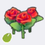 美丽花种子