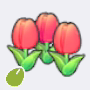 可爱花种子