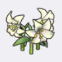 优雅的花