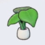 大叶植栽