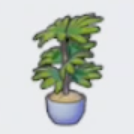 高盆栽