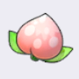 桃桃果