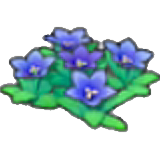 岩场花