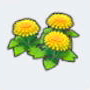 悠闲花