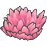 粉红草