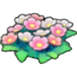 原野花