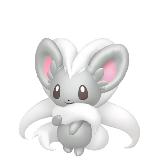cinccino