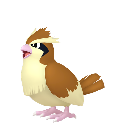 pidgey