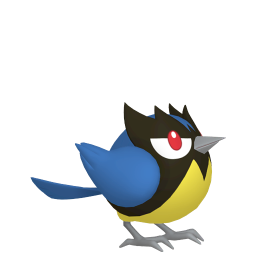 rookidee