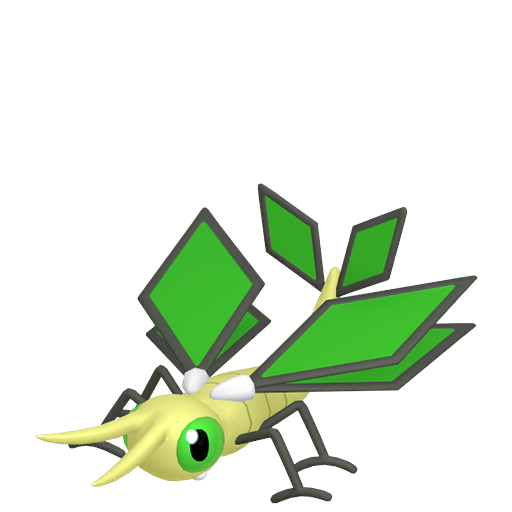 vibrava